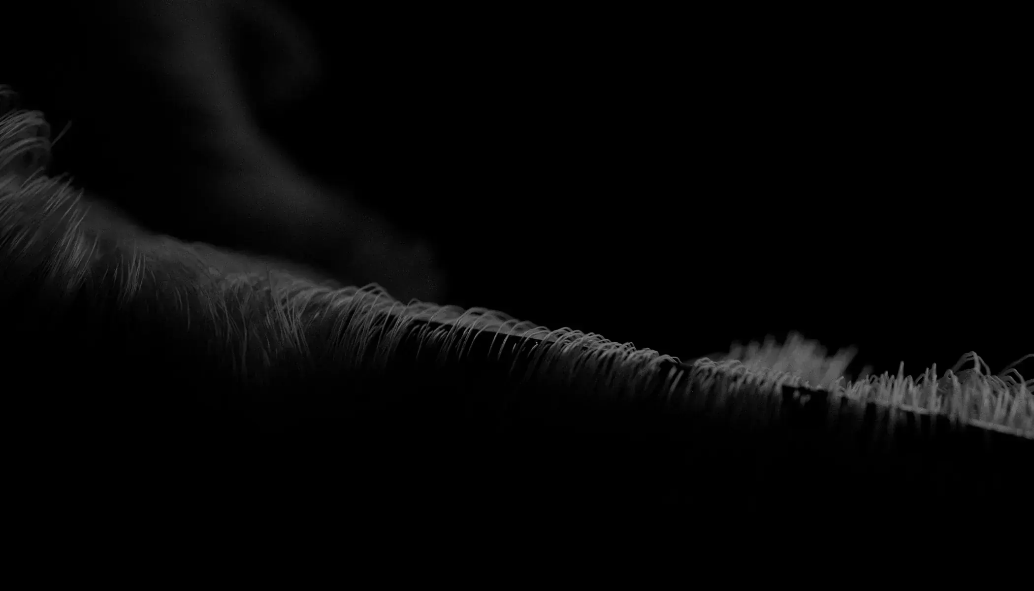 Render angle study 01