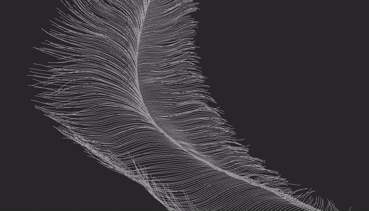 Feather 2 process GIF