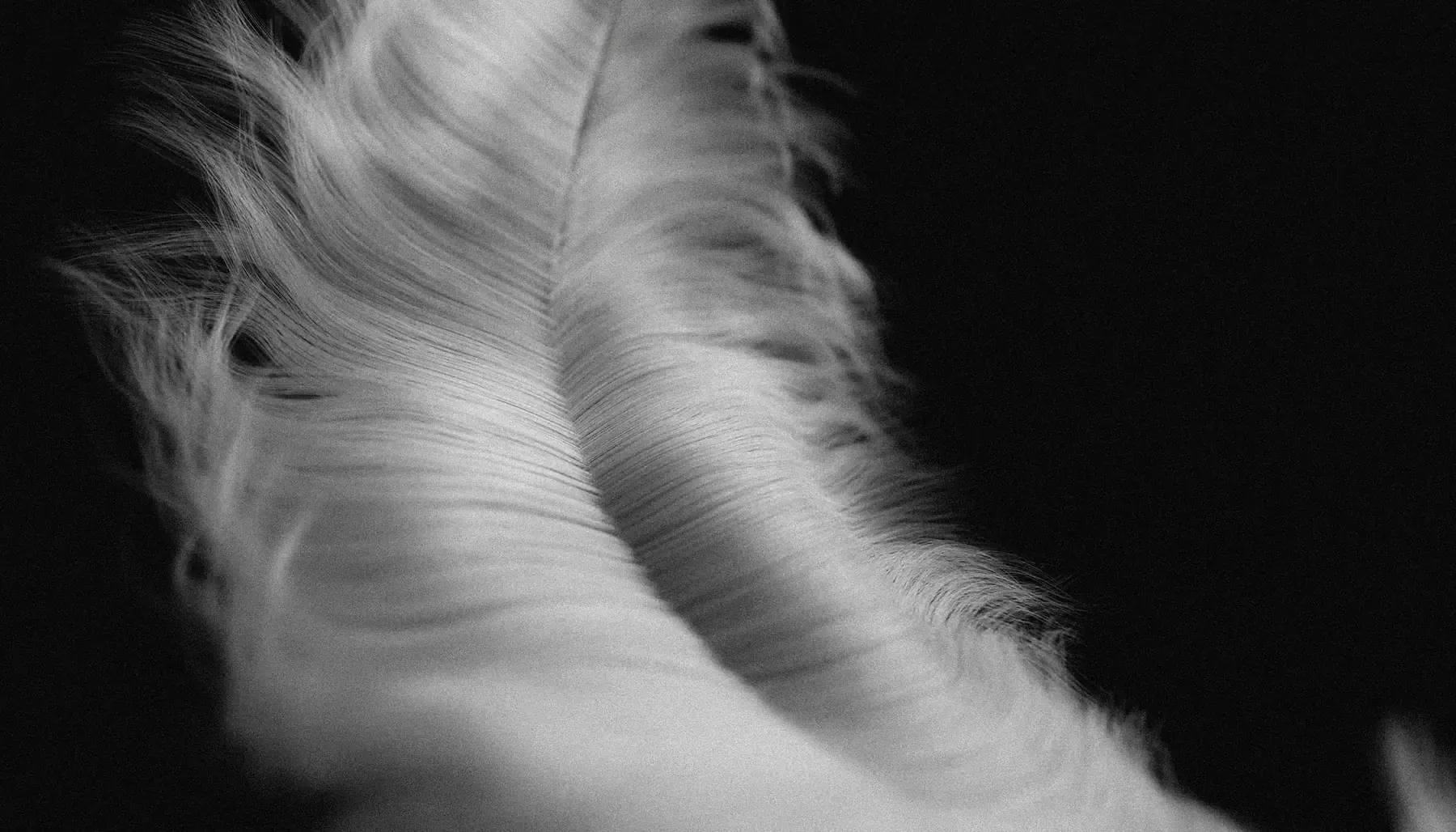 Render angle study 02