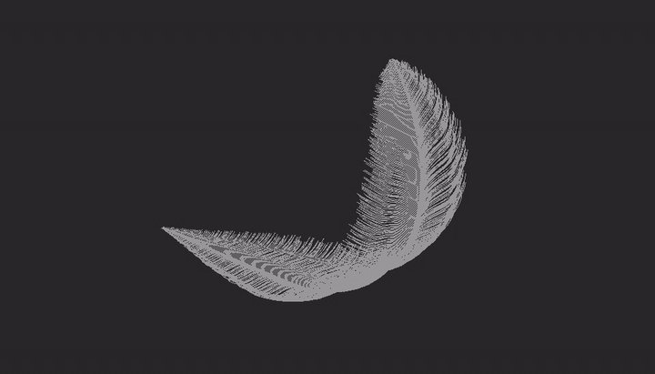 Feather 3 process GIF